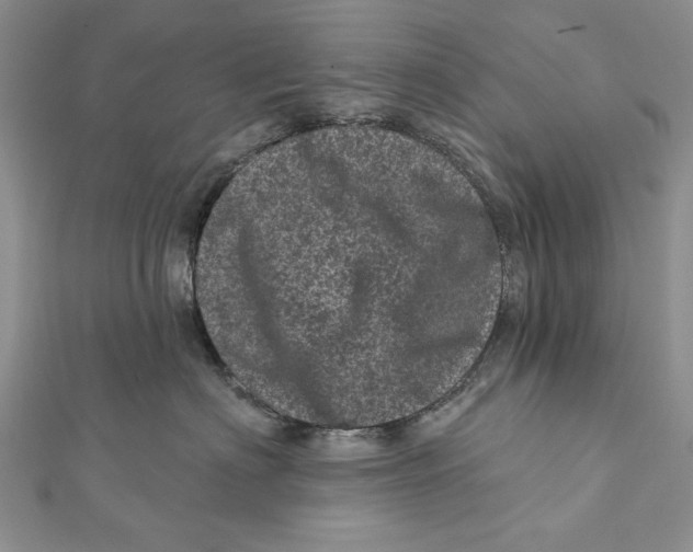 X0000111870622200908201218