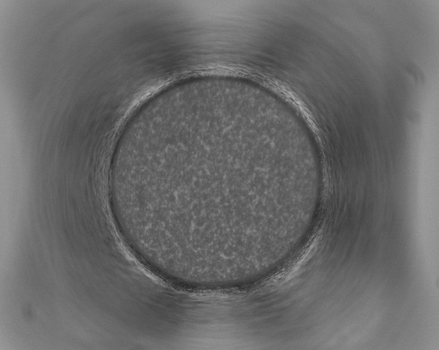 X0000111870625200908201217