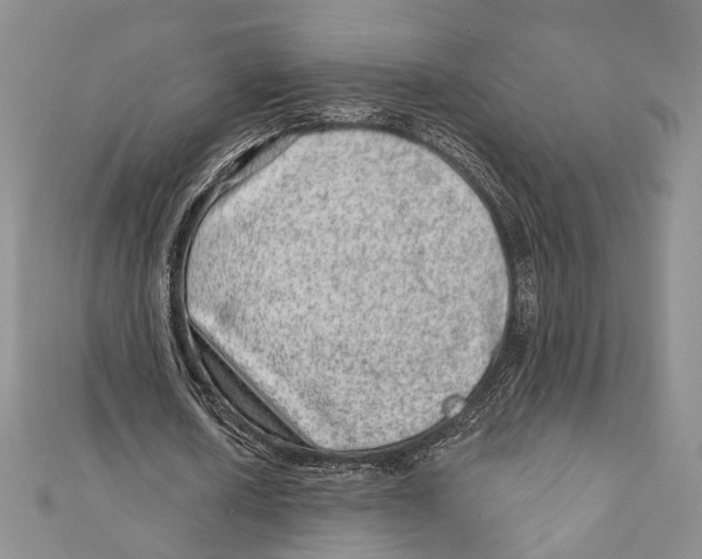 X0000111870626200908201217