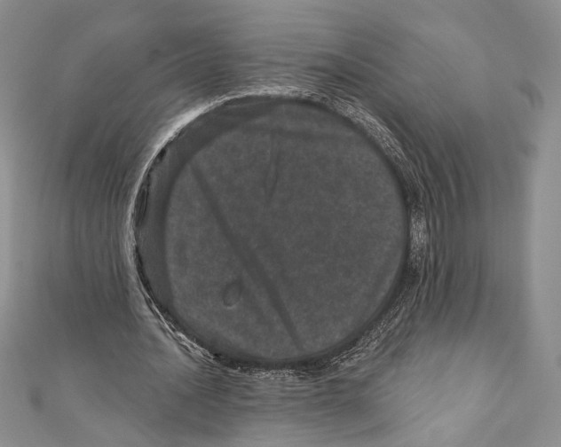 X0000111870628200908201217