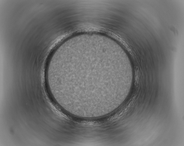 X0000111870629200908201217