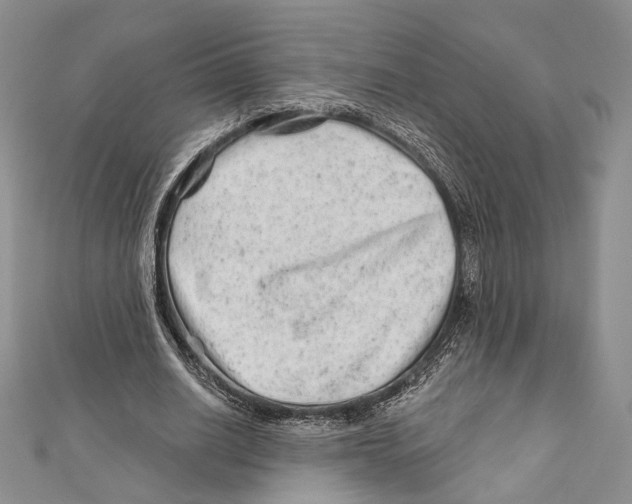 X0000111870630200908201217