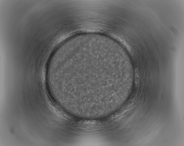 X0000111870631200908201217