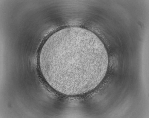 X0000111870632200908201217