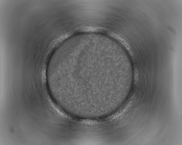 X0000111870633200908201217