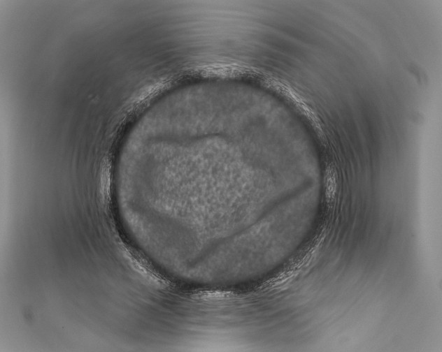 X0000111870637200908201218