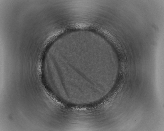 X0000111870640200908201218