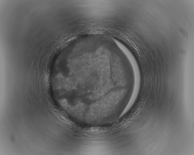 X0000111870641200908201218