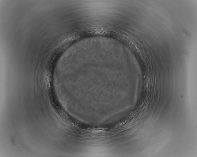 X0000111870643200908201218