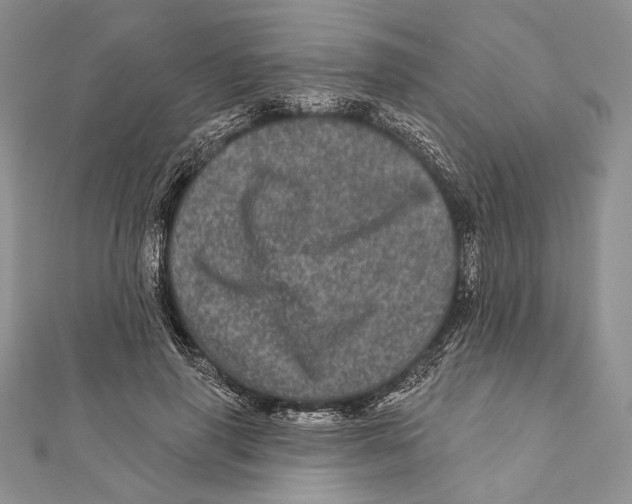 X0000111870645200908201218