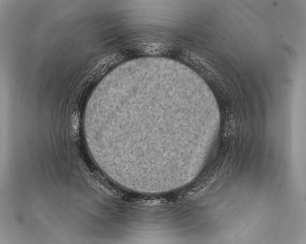 X0000111870646200908201218