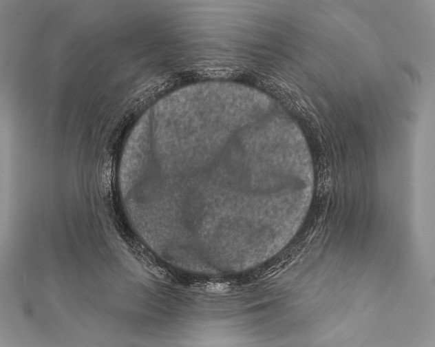 X0000111870647200908201218