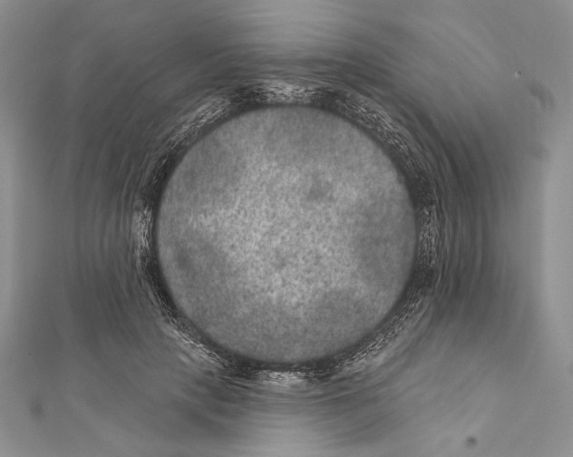 X0000111870649200908201218