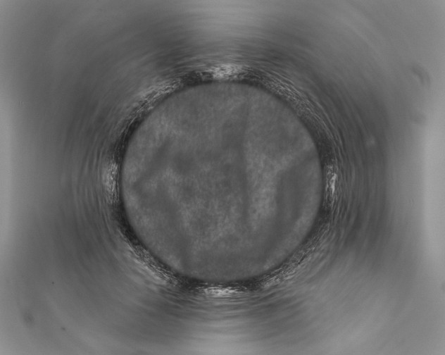 X0000111870650200908201218