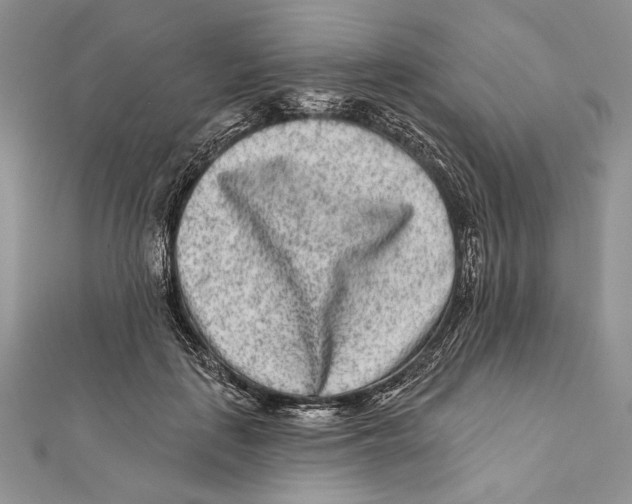 X0000111870651200908201218