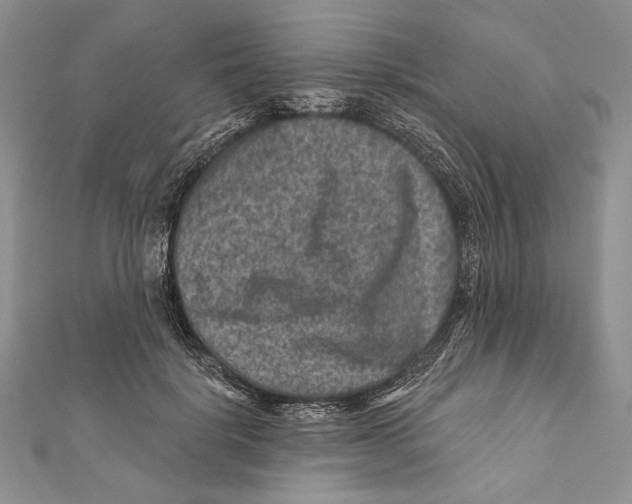 X0000111870652200908201218