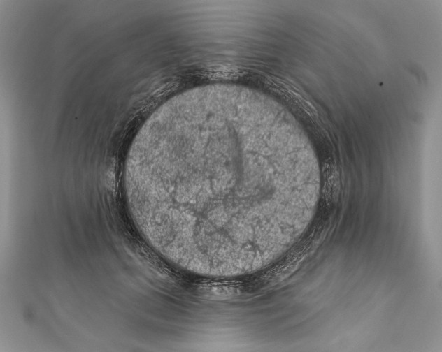 X0000111870655200908201218