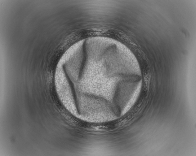 X0000111870657200908201218