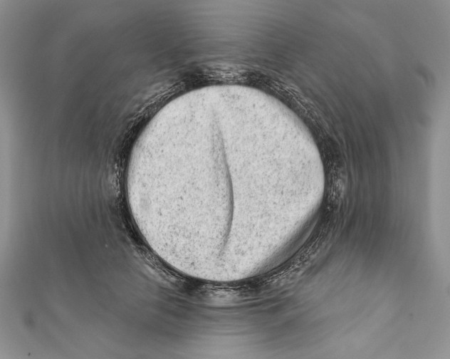 X0000111870658200908201218