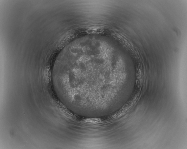 X0000111870659200908201218