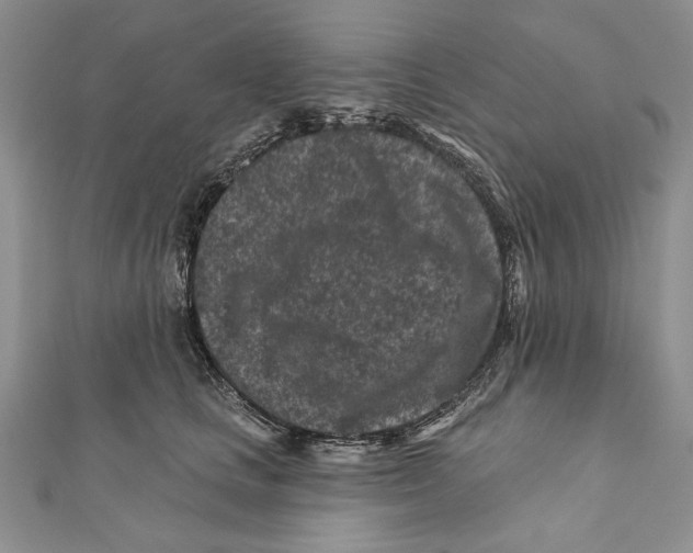 X0000111870661200908201218