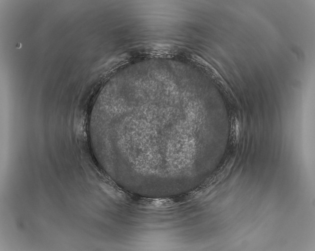 X0000111870663200908201218