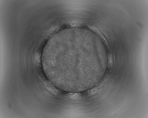 X0000111870667200908201218