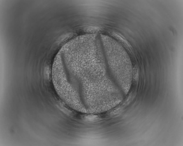 X0000111870669200908201218