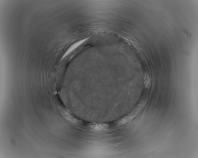 X0000111870670200908201218