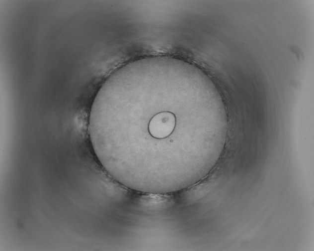 X0000111870672200908201218