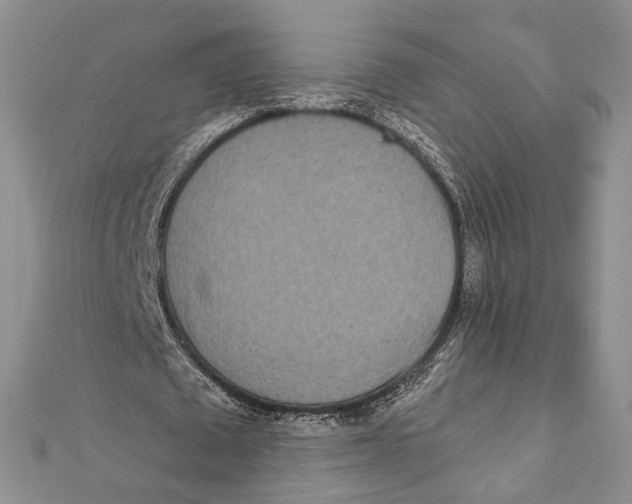 X0000111870673200908201217