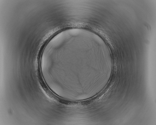 X0000111870674200908201217