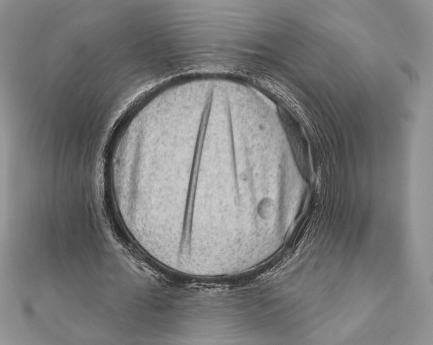 X0000111870676200908201217