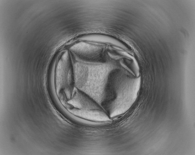 X0000111870677200908201217