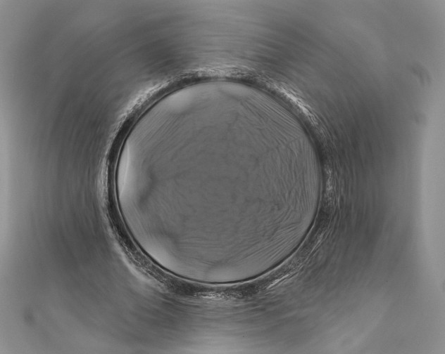 X0000111870678200908201217