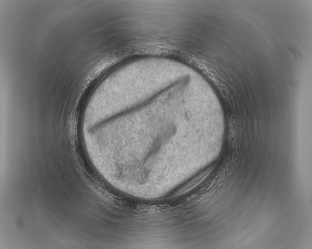 X0000111870679200908201217