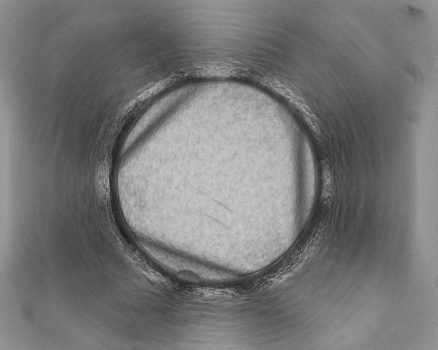 X0000111870681200908201217