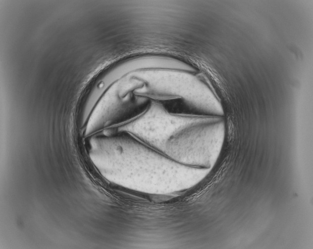 X0000111870684200908201217