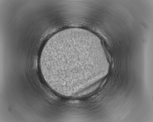 X0000111870685200908201217