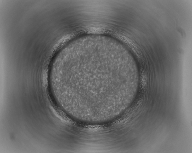 X0000111870686200908201217