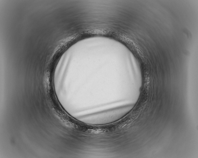 X0000111870688200908201217