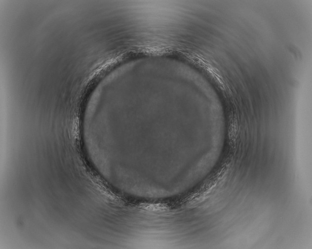 X0000111870689200908201217