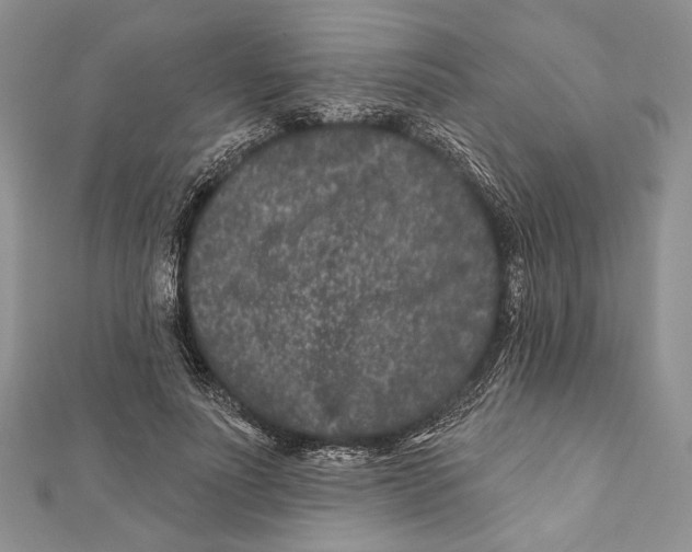 X0000111870691200908201217