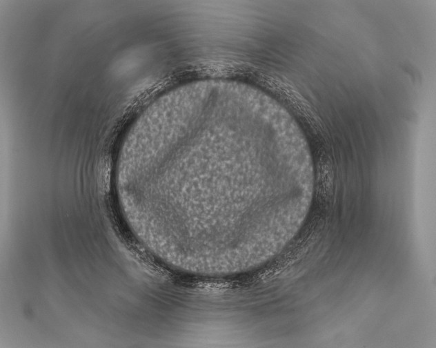 X0000111870694200908201217