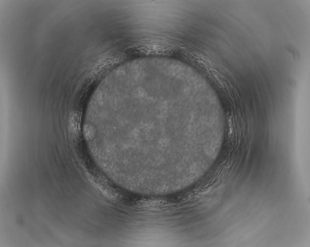 X0000111870695200908201217