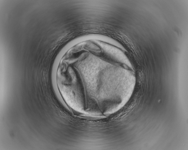 X0000111870697200908201217