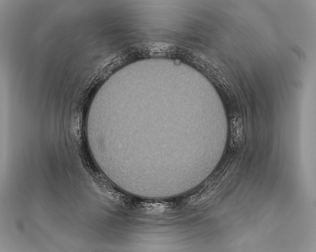 X0000111870698200908201217