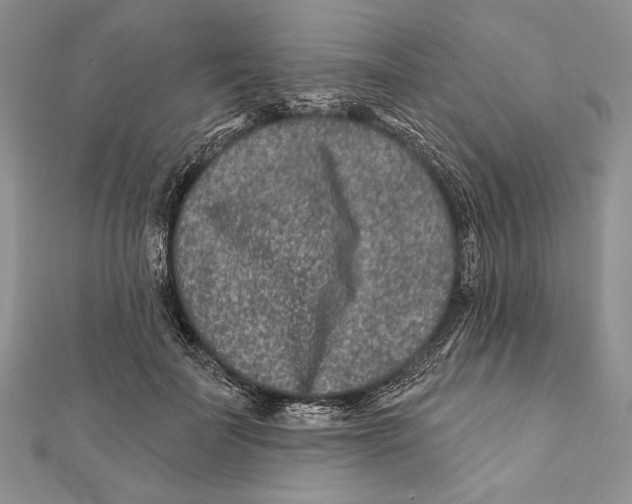 X0000111870699200908201217