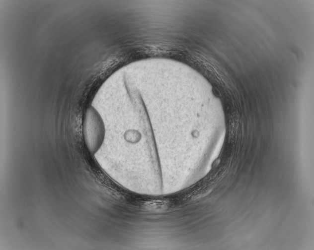 X0000111870700200908201217