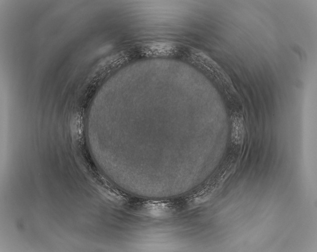 X0000111870701200908201217